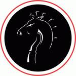 white horse